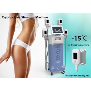 4 handles Fat Freezing machine, Zeltiq cooling / Cryolipolysis Fast Slimming