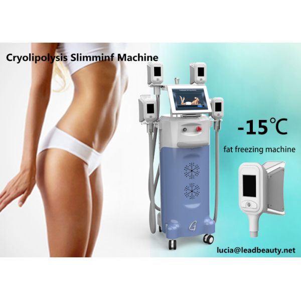 4 handles Fat Freezing machine, Zeltiq cooling / Cryolipolysis Fast Slimming