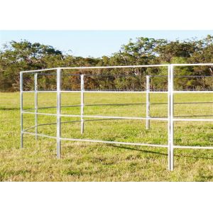 Cattle Panels System