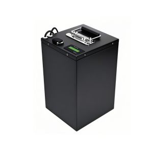 Custom Lithium 70V 20Ah Auto Rickshaw Electric Motorbike LiFeO4 Battery with LED