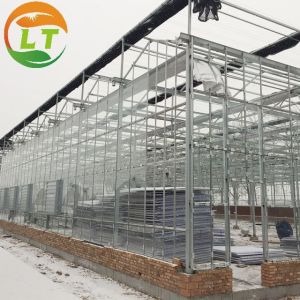 Buy cheap Multi-Span Agricultural Greenhouses with Hot-Dip Galvanized Steel and Smart System from wholesalers