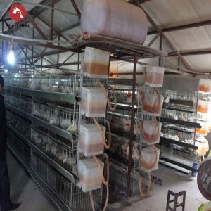 Buy cheap H Type Chicken Battery Breeder Cage Poultry Farming Equipment 4 Tiers from wholesalers