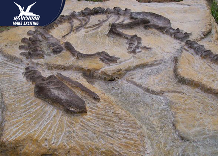 Buy cheap Big Indoor Decorative Fake Dinosaur Fossil Waterproof And Sunproof 1 Year product