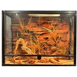 Beauty And Safe Reptile Enclosure Background Compact DIY Reptile Terrarium