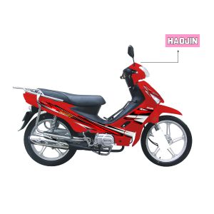 oem EEC 4 stroke hongli haoji lifan engine cheap import motorcycle 125CC 110CC
