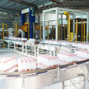 Buy cheap Double Channel Gantry Palletizer with Paper Dividers for Soft Drinks Packaging Lines from wholesalers