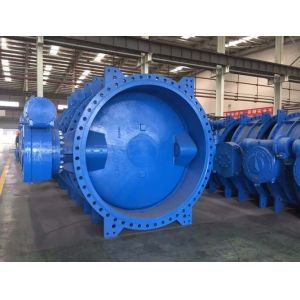 Customized Double Flanged Concentric Eccentric Butterfly Valve for Optimal