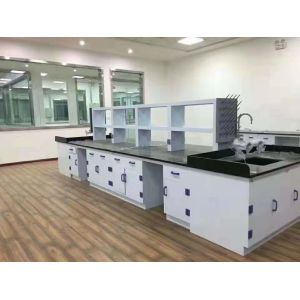 Customizable lab island bench designed to meet modern requirements