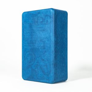 Custom Printed Eco-Friendly Biodegradable Recycled Molded Pulp Tray Dry Pressing