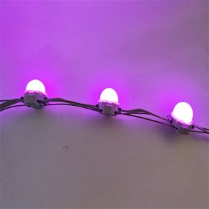 40mm Single Color DC24V IP67 SMD3535 LED Node Dot String Pixel Point Lights for
