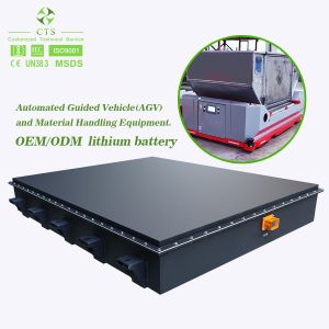 CTS Port AGV Ev Lithium HV Battery Pack 500v 200AH 100kwh 80kwh