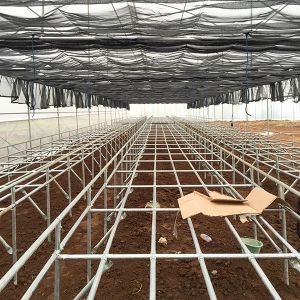 Buy cheap Easy Maintenance Customizable Deep Water Cycle Hydroponics With Water Chiller from wholesalers