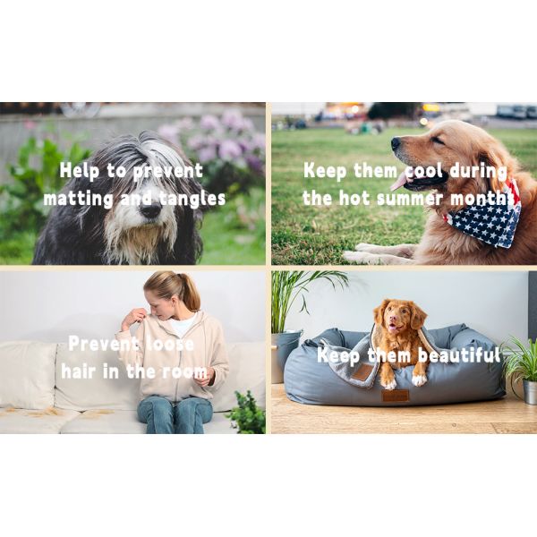 Low Noise Pet Dog Grooming Kit with Vacuum Tools and Dog Brush Set N.W/G.W. 2.5kg/5kg