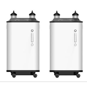 China Remote Control Intelligent Alarm 10 Liter Oxygen Concentrator on sale