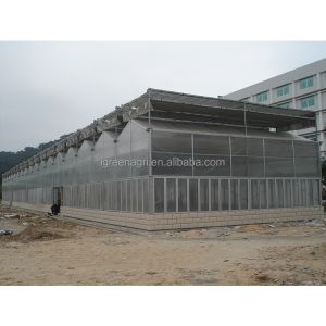 Buy cheap IGreen PC Board Greenhouse Multi-Span Agricultural Greenhouses with PC Sunshine Board Panels from wholesalers