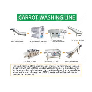 Buy cheap Bamboo shoot processing equipment vegetable processing line from wholesalers