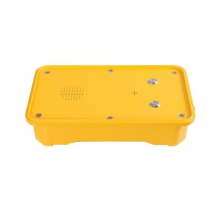 Analogue SIP GSM Weather Resistant Telephone With Two Buttons