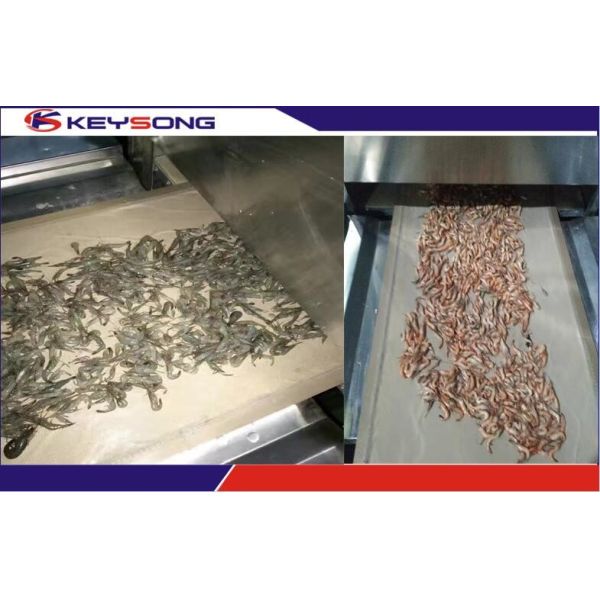 Buy cheap Seafood Microwave Drying Machine High Efficiency , Industrial Microwave Drying Equipment from wholesalers