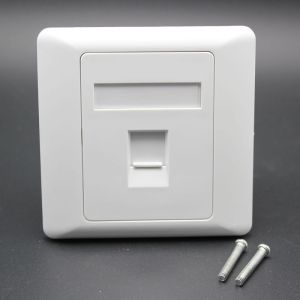 Buy cheap 2 Ports Flat Faceplate RJ45 ABS Ethernet Cable Assembly 86×86 Type from wholesalers