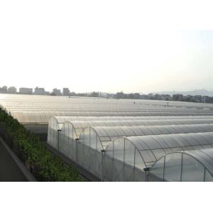 Buy cheap Multi Span Hydroponic Tunnel Plastic Cover Greenhouse from wholesalers