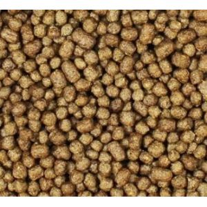 Twin Screw SUS Fish Feed Extruder Fish Food Manufacturing Machines