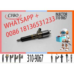 Diesel Pump C6.6 Oem Common Rail Fuel Injectors 310-9067 320-0655 306-9390