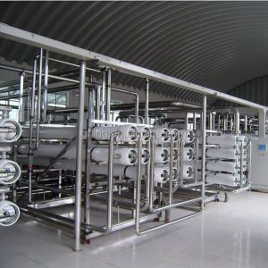 100-10000l Stainless Steel Reverse Osmosis Membrane Separation Water Treatment