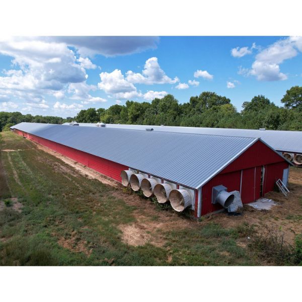 Quality Q235B Q355B Grade Steel Structure Poultry House Pre engineered Steel Frame Shed for sale