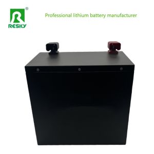 Power 12.8V 25.6 4s 100Ah Lifepo4 Lithium Iron Phosphate Battery Pack For