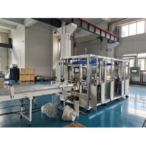 PE Precast Bag 30bags/Min 28rolls Paper Roll Packing Machine