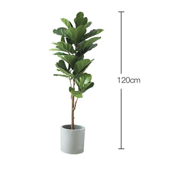 Buy cheap Natural 120cm Height Pandurata Artificial Ficus Tree Landing Plant from wholesalers
