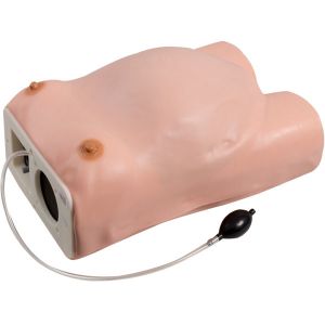 Buy cheap Hospital PVC Maternity Examination Gynecologic Simulator from wholesalers