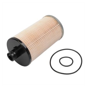 FS20021 Truck Fuel Filter Element for Truck Engine with Installation Notes for
