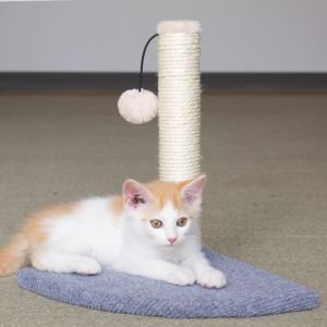 Buy cheap OEM Eco Friendly 13.39" Fabric Cat Scratching Post from wholesalers