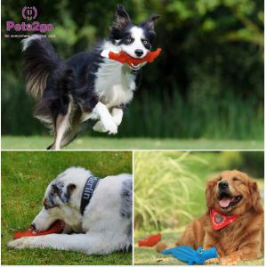 Aggressive Chewers Approved L243MM Dog Playing Toys