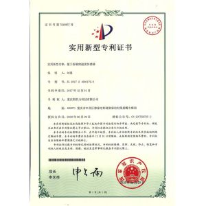 Chongqing Skill Science & Technology Co., Ltd. Certifications