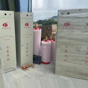 Fire Suppression Fm200 Fire Extinguishing System Lightweight Design with Low