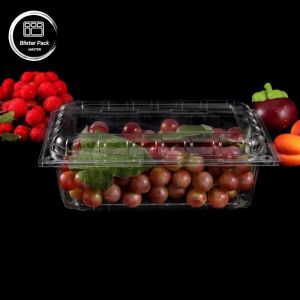Transparent PET Clamshell Fruit Containers Disposable Plastic Boxes with Lids