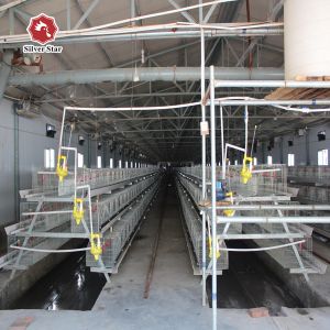 Buy cheap Farming Coop Chick Rearing Cage Chickenl Husbandry Equipment from wholesalers