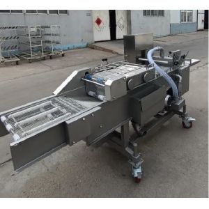 Customized Freeze-Dried Strawberry Coating Machine for Hawthorn Bar Chocolate