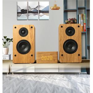 Rhythm Rechargeable Bookshelf Speakers with USB Connection and Music Function