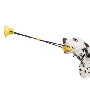 Buy cheap Puppy Hard Rubber Chew Bone Toys For Aggressive Chewers from wholesalers