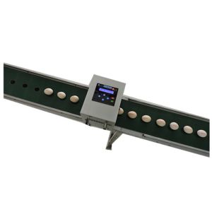 Buy cheap High Resolution Egg Continuous Inkjet Printer With Full - Disk Printing Method from wholesalers