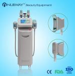 Buy cheap perfect effective slimming machine cryolipolysis fat freezing equipment / machine from wholesalers