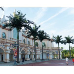 Buy cheap Royal 15m Artificial Coconut Palm Trees For Outdoor And Indoor from wholesalers