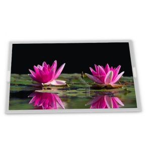 Buy cheap LW800AT9001 8inch TFT LCD Display Modules supplier lcd panel Rectangular screen supplier lcd panel from wholesalers