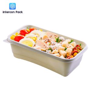 Takeaway Sugarcane Bagasse Food Container Biodegradable Disposable With