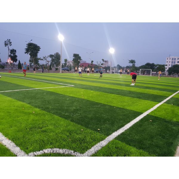 Buy cheap AVG 60MM Artificial Football Turf Artificial Carpet Artificial Grass from wholesalers
