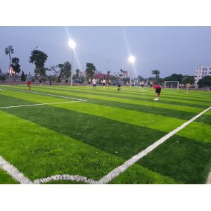 Buy cheap AVG 60MM Artificial Football Turf Artificial Carpet Artificial Grass from wholesalers
