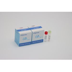 Buy cheap Quantitative Fluorescent PCR Detection Kit IVD For All Corona Virus Mutations from wholesalers